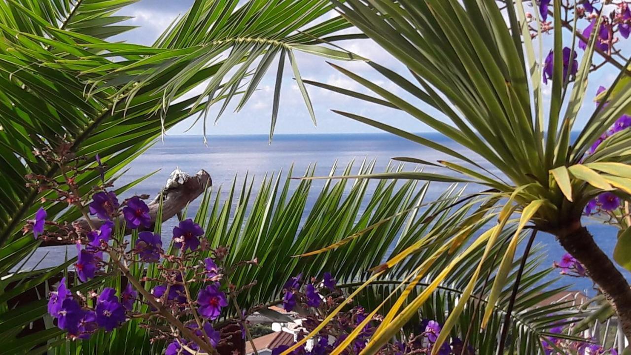 Miradouro Da Papalva Guest House - Pico - Azores Sao Joao  Eksteriør bilde