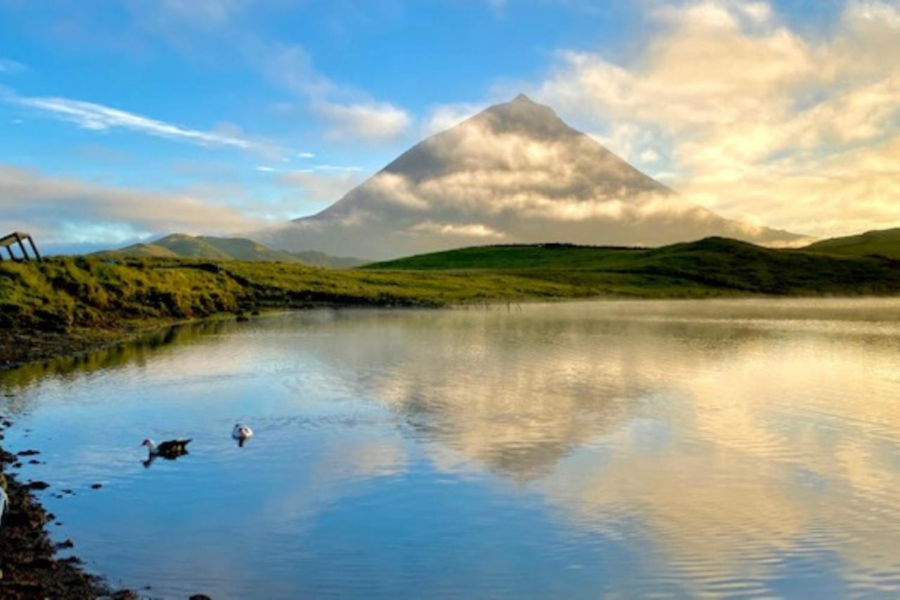 Miradouro Da Papalva Guest House - Pico - Azores Sao Joao  Eksteriør bilde